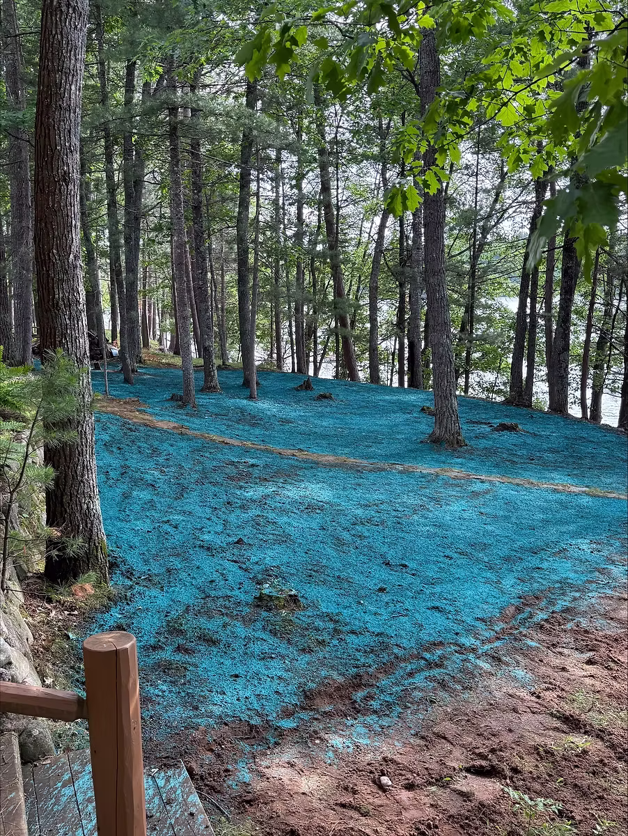 Northwoods Hydroseeding